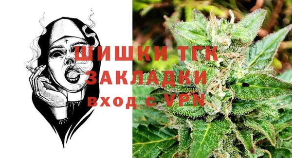 прущие грибы Богородицк