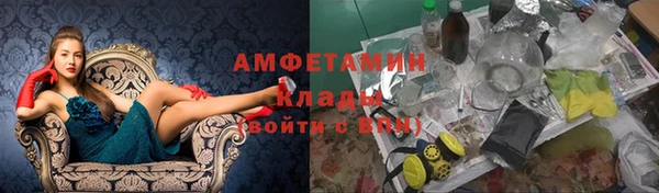 прущие грибы Богородицк