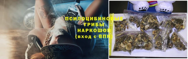 прущий лед Богданович