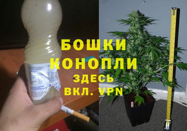 прущий лед Богданович