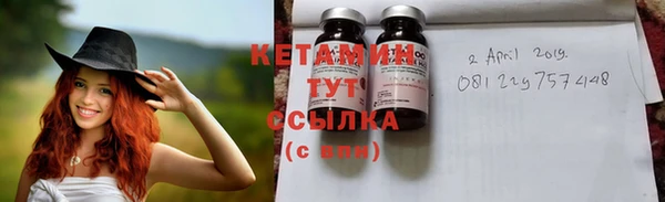 прущие грибы Богородицк