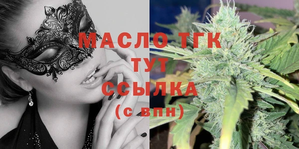 прущий лед Богданович