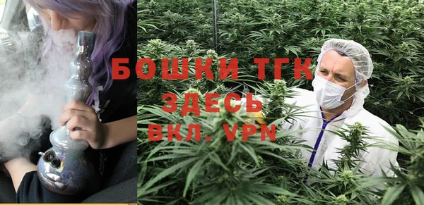тгк Богородск