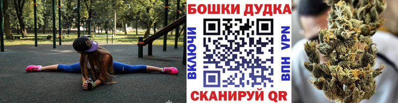 как найти наркотики  Краснообск  Конопля AK-47 